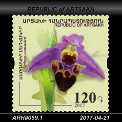  120 Dram / Ophrys caucasica